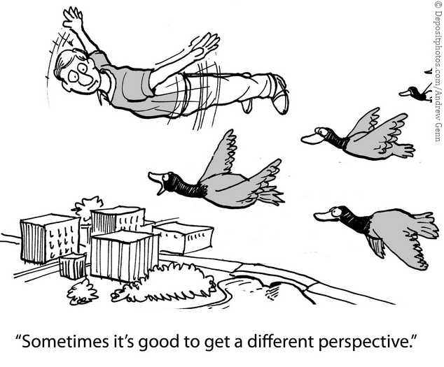 performance feedback 