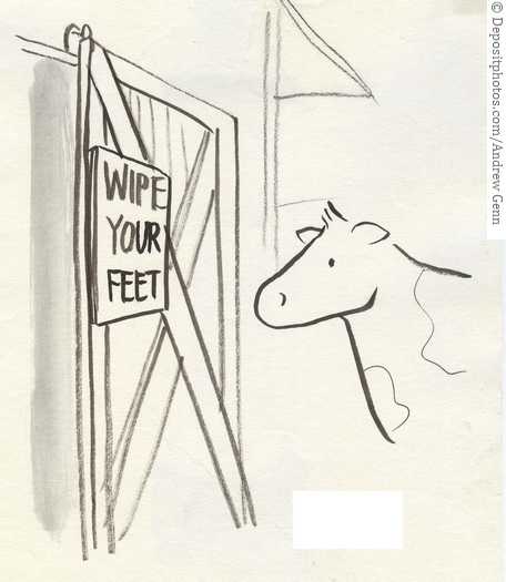 Best exercise to Lose weight