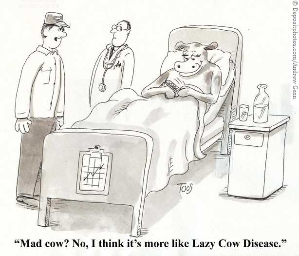 How To Live a Fulfilling Life