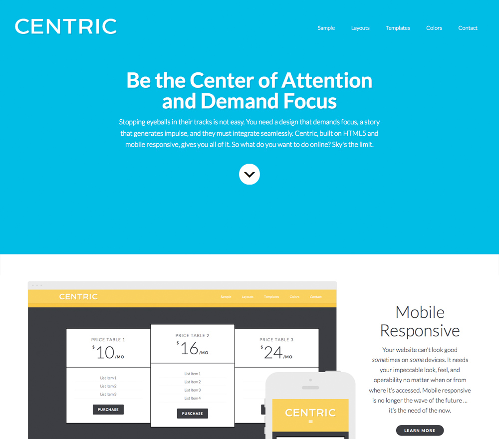 centric-pro-screenshot centric-pro-screenshot