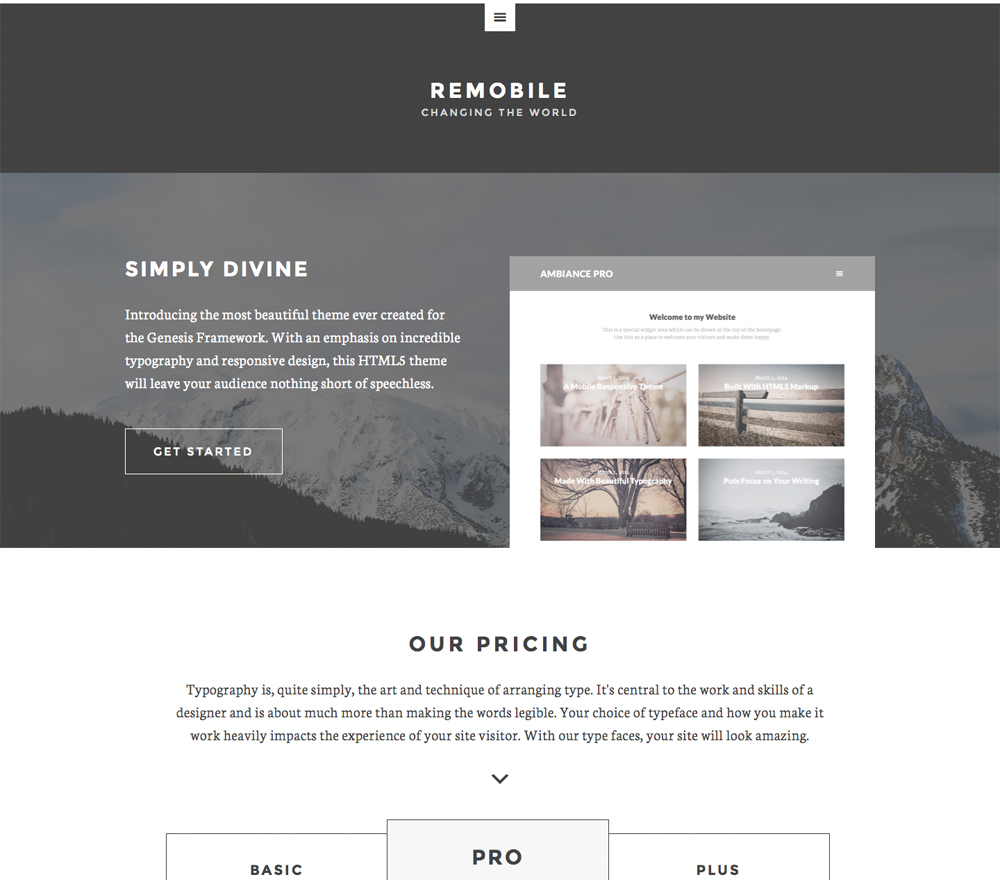 remobile-pro remobile-pro